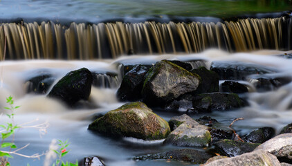 Stream with rocks. 