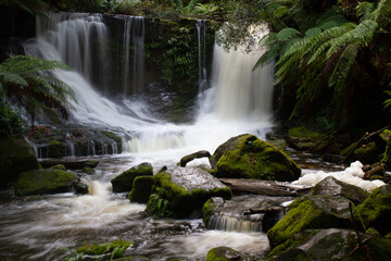 Fototapeta na wymiar Russell Falls, Tasmania. 