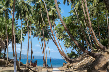 Ross Island