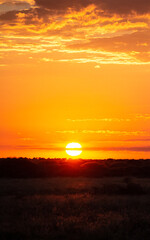 Naklejka na ściany i meble Sunset in the Kalahari Game Reserve, Botsuana
