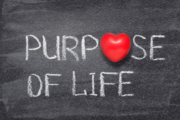 purpose of life heart