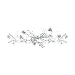 Illustration, pencil, vignette. Drawing of birds, leaves and branches of plants. Freehand drawing on a white background.