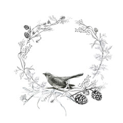 Illustration, pencil. Frame from leaves and branches of plants, birds. Freehand drawing of flowers on a white background