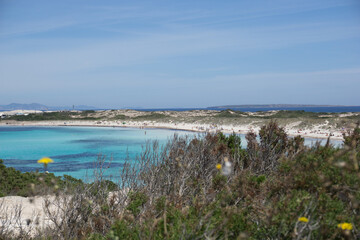 a bay with brilliant blue water from formentera a small island near ibiza

