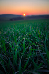 Wonderful landscape of Moravian Tuscany, Czech Republic