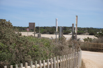 the beautiful nature of formentera a small island near ibiza
