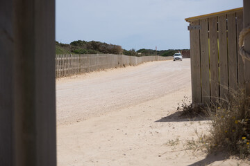 the beautiful nature of formentera a small island near ibiza
