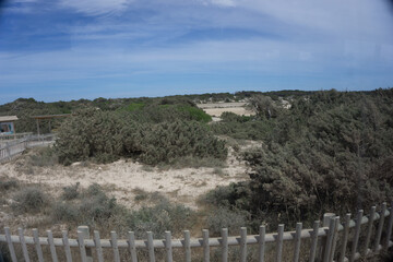 the beautiful nature of formentera a small island near ibiza
