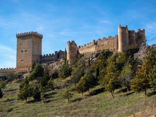 Fototapeta na wymiar Castillo en Peñaranda del Duero, Burgos. España