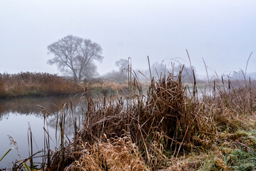 Jesień w Dolinie Narwi, Podlasie, Polska © podlaski49