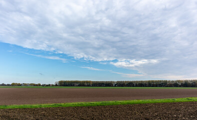 Fields and trees in Oostwaard of Biesbosch in The Netherlands