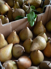 pears in a market