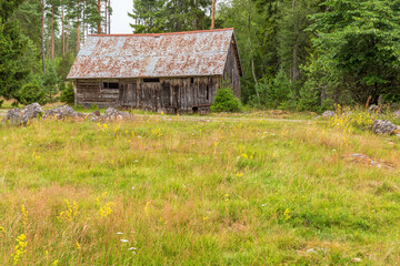 Fototapeta premium Flowering meadow at an abandoned old shed at the forest edge