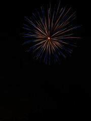 Fototapeta premium Blue firework