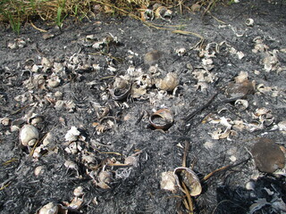 Pegs of road dividers or embankments between farmers' fields and embankments for Responsible roads