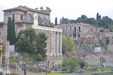 Naklejka premium roma