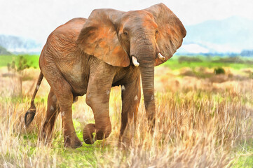Fototapeta na wymiar African Elephant colorful painting looks like picture