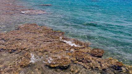 beautiful corals on the red sea in Israel