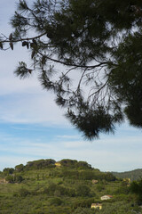 Italian landscape 