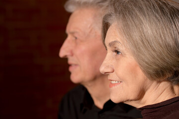 Close up shot of cheerful senior couple at home