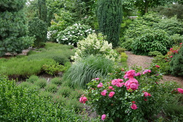 Rosen und Blumen im botanischen Garten als blühender Traumgarten, Paradiesgarten, Staudengarten und Märchenpark