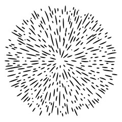 Obraz premium Explosion effect of random radial black lines on a white background. Floral abstract circular pattern.