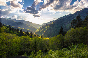 Fototapeta na wymiar Sunrise over a beautiful forest mountain landscape in the Great Smoky Mountains National Park in Gatlinburg, Tennessee. 