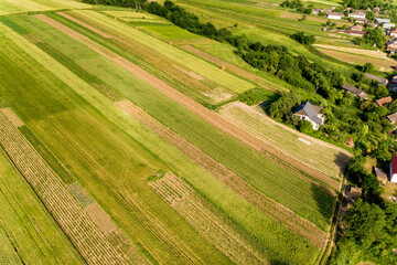 Aerial view of green agricultural fields in spring with fresh vegetation after seeding season on a warm sunny day.
