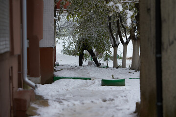 Fototapety na wymiar - Fototapeta24.pl