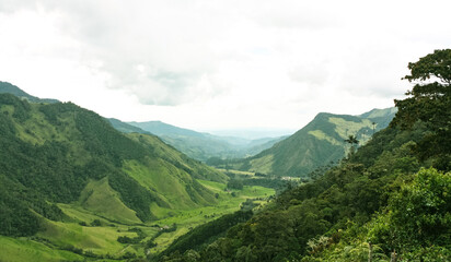 Cocora Valley, which is nestled between the mountains of the Cordillera Central in Colombia.