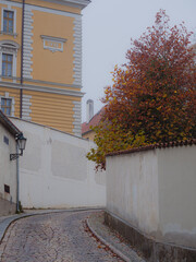 Empty Prague street an a foggy autumn morning