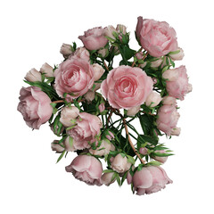 Flowers 3d illustration isolated on the white background