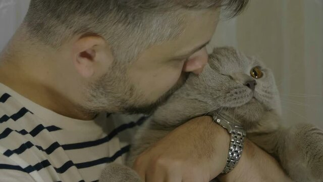 Man stroking his cat and talk with it. Close-up of cat's happy face.  Close-up of cat's stroking  face. 