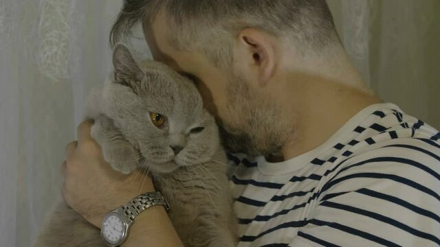 Man stroking his cat and talk with it. Close-up of cat's happy face.  Close-up of cat's stroking  face. 