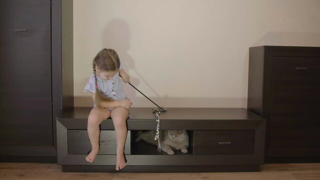 Child and pet at home. Small cute child playing with big fluffy cat. Domestic animal and kid friendship. Cozy scene, lifestyle.