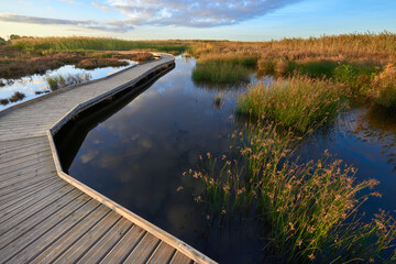 A wooden path over a lake at sunrise