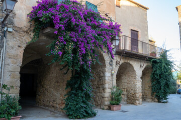 Fototapeta na wymiar Medieval paved street with arches with climbing plants with lilac flowers