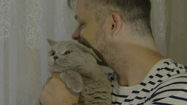 Man stroking his cat and talk with it. Close-up of cat's happy face.  Close-up of cat's stroking  face. 