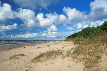 Sandy coast of the Baltic sea in the Gulf of Riga, Latvia