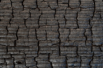 Burned wood black textured background