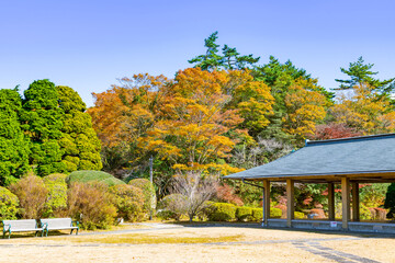 恩賜箱根公園の風景　神奈川県箱根町