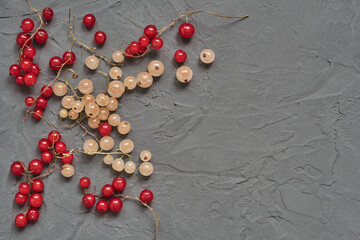 Red and white currants on a gray concrete background. Ripe berries