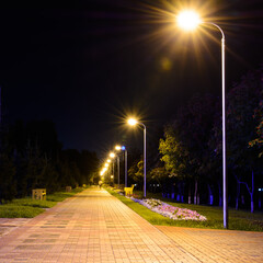 Paving stone footpath in a night park