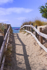 Footpath between sea dunes in Apulia,Italy. Lido Marini beach stretches for more than two kilometres, in the area of the municipalities of Salve and Ugento in Salento.