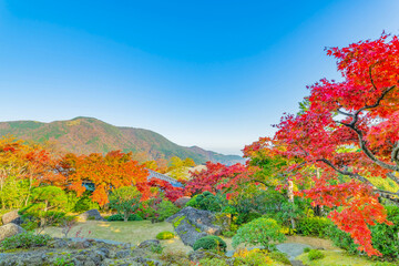 箱根美術館の紅葉