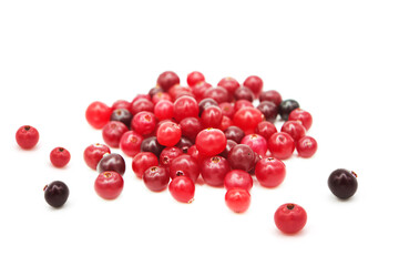 Ripe organic cranberry isolated on white background. Сopy space on a white background.	