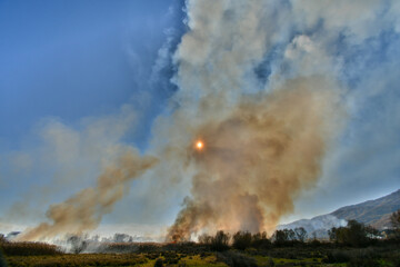 Wildfire in the field with dry grass, corn fields, reeds. Thick black smoke rises high and the sun is seen behind the smoke.