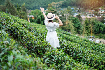 Happy tourist woman in white dress enjoy beautiful Tea garden.Traveler visiting in Ban Rak Thai...