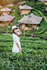 Happy tourist woman in white dress enjoy beautiful Tea garden.Traveler visiting in Ban Rak Thai...