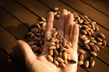 dry beans on wood background with hand